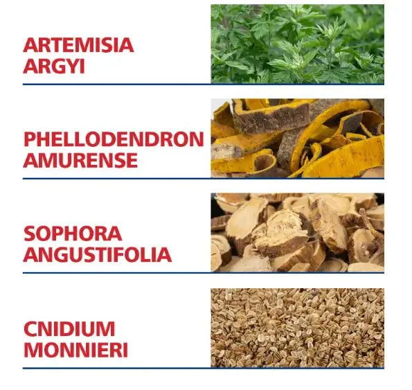 Aichun Beauty Moisturizing Foot Cream Dead skin care cream EasyShop Mini Mart