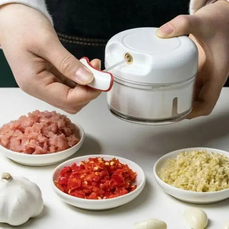 Mini Garlic Chopper Multifunctional Hand Held EasyShop